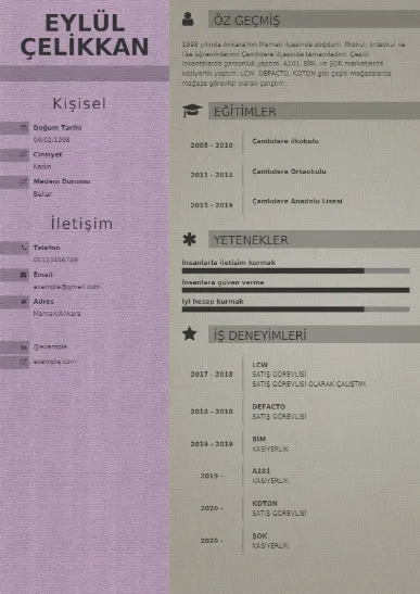 Örnek cv indir